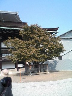 s䏊EaO̍߂̍