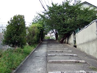 2007_0923_151138_Sω_Ђ̒.JPG