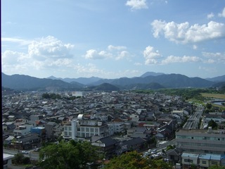 20100807_chobo.JPG