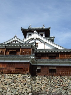 20100807_fukuchiyama_castle.JPG