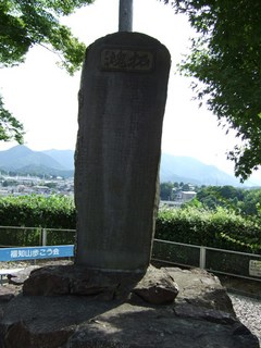 20100807_mansyu.JPG
