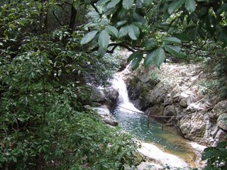 20110910_114730_Sat.JPG