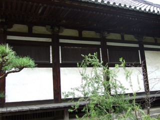 20110910_123604_Sat.JPG
