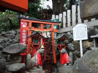 20111103_122522.JPG