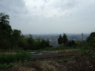 20111103_124406.JPG