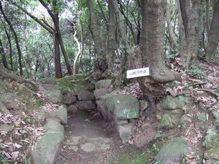 20111103_133410.JPG