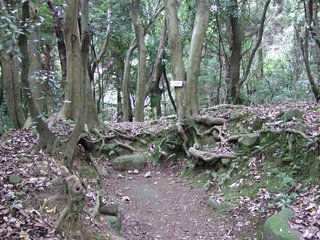 20111103_133434.JPG